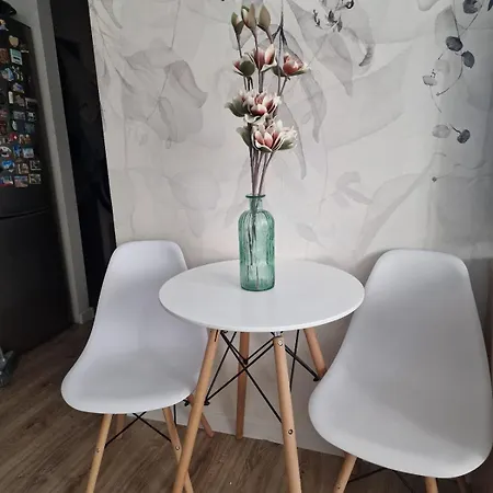 Apartament Na Szewskiej - Self Check In * Głogów